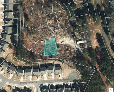 717 Ahad Ct, Apex, NC 27523 - photo 6