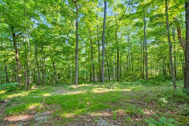 1 Ferry Rd, Clarksville, TN 37040 - photo 2