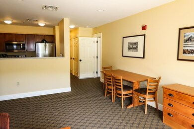 371/373 Qtr I V Jackson Gore Inn, Ludlow, VT 05149 - photo 5