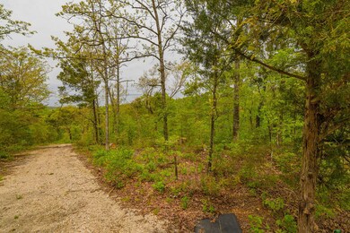 Tbd Lakeway, Swan Township, MO 65680 - photo 4