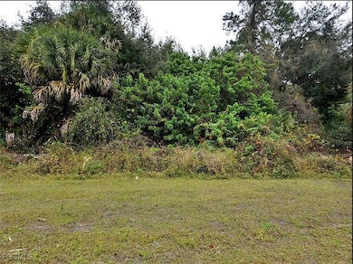 Foliage Court, North Port, FL 34288 - photo 3