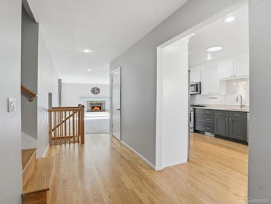 7493 W Cedar Cir, Lakewood, CO 80226 - photo 4