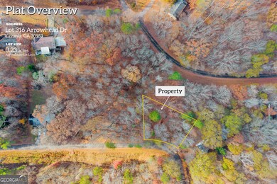 0316 Arrowhead Dr unit 316, Lavonia, GA 30553 - photo 6