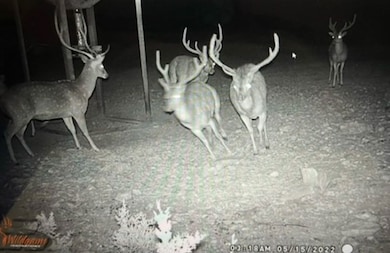 9288 Sutton County Road 406, Sonora, TX 76950 - photo 7