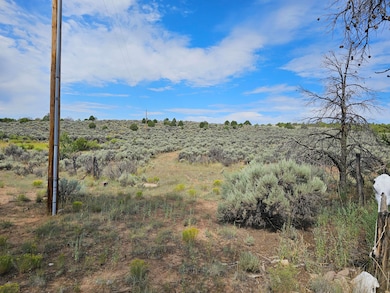 0 Lindrith Nm unit 1069027, Lindrith, NM 87029 - photo 2