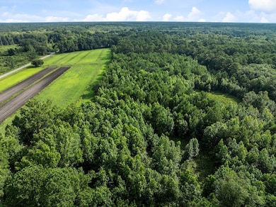 0 Oakville Rd unit 25032033, Hollywood, SC 29449 - photo 3