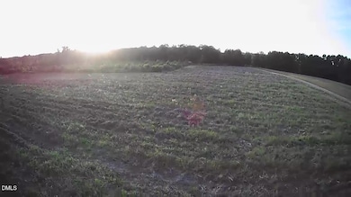 111 Old Wagon Ln, Sanford, NC 27332 - photo 4