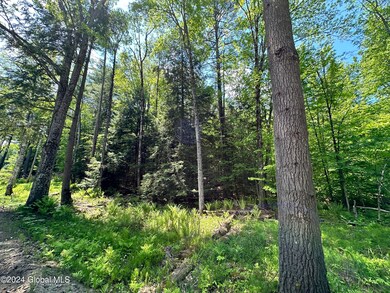 L45.13 Overlook Cemetery Rd, Hadley, NY 12835 - photo 7