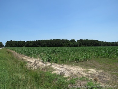 TBD N Carolina 71, Red Springs, NC 28377 - photo 7