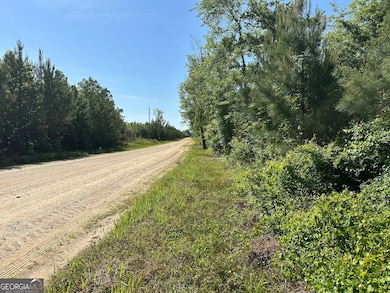 01 Pine Hill Church Rd, Waynesboro, GA 30830 - photo 3