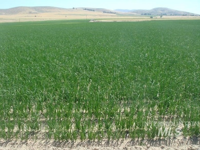 TBD Indian Head Rd, Weiser, ID 83672 - photo 3