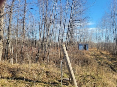 XXX 29th Ave SW, Baudette, MN 56623 - photo 4