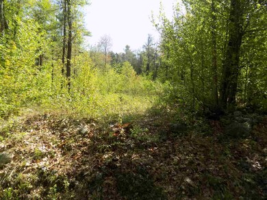 451 Bailey Rd, Washington, NH 03280 - photo 4