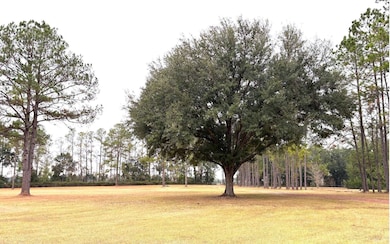 21828 Florida 247, Lake City, FL 32024 - photo 6