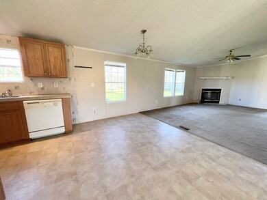 232 Bowles St SW, Baconton, GA 31716 - photo 5