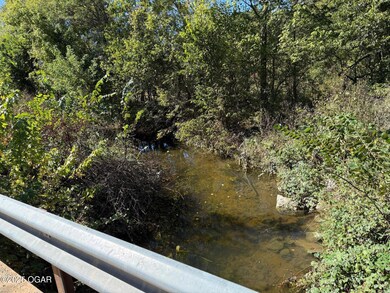 Xxx-B Teal Dr, Newtonia, MO 64853 - photo 2