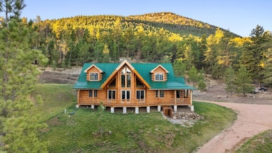 9100 County Rd 102, Guffey, CO 80820 - photo 2