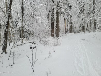 unlisted-address, Readsboro, VT 05350 - photo 4