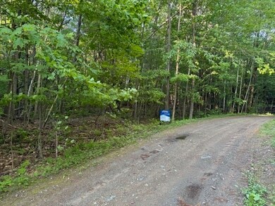 55 Cherrie Pierson Rd, Charlemont, MA 01339 - photo 2