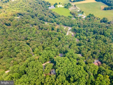 41 Laurel Ln, Bluemont, VA 20135 - photo 5