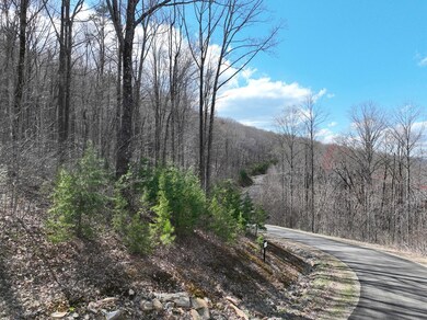 270R Stone Cliff Dr, Ellijay, GA 30536 - photo 7