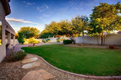 backyard landscaping