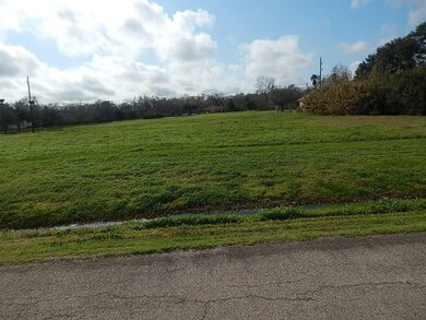 0 Jewel St, Houston, TX 77026 - photo 4