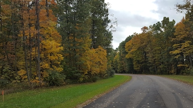 859 Greystone Dr unit 13, Chelsea, MI 48118 - photo 4