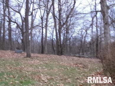 23 Il 34 S Route, Rosiclare, IL 62982 - photo 4