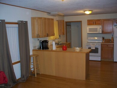 1512 Catherine St, Big Rapids, MI 49307 - photo 5