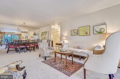 6350 Red Cedar Place unit 309, Baltimore, MD 21209 - photo 7