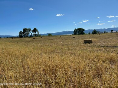 1313 Whitetail Dr, Driggs, ID 83422 - photo 5