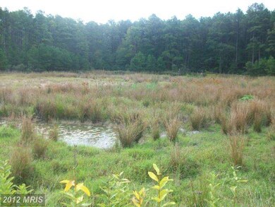 2213 Andrews Rd, Crapo, MD 21626 - photo 3