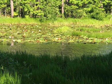 5994 Colonel Scott Dr, Tallahassee, FL 32309 - photo 2