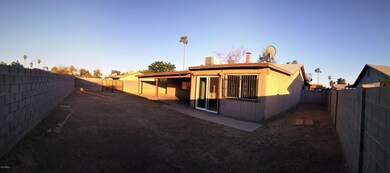 back yard and RV gate