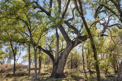 1301 Rm 2147, Marble Falls, TX 78654 - photo 6