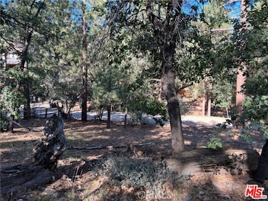 0 Kern Ave unit 25621451, Big Bear, CA 92386 - photo 5