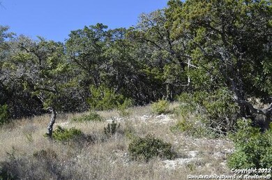 19719 Terra Mont, San Antonio, TX 78255 - photo 5