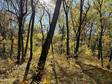 000 Pine Rd, Carthage, MO 64836 - photo 6