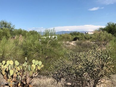 Looking north to Catalina Mtns