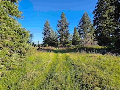 2100 Blk E Eloika Rd, Deer Park, WA 99006 - photo 6