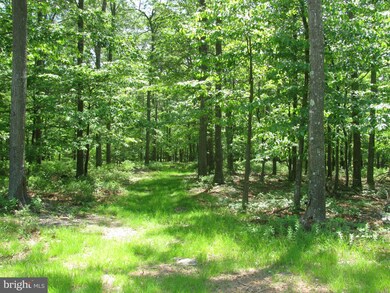 0 Trout Pass unit 1000214211, Mathias, WV 26812 - photo 2