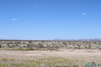 0 Piedras Rd SE unit 20231677, Deming, NM 88030 - photo 2