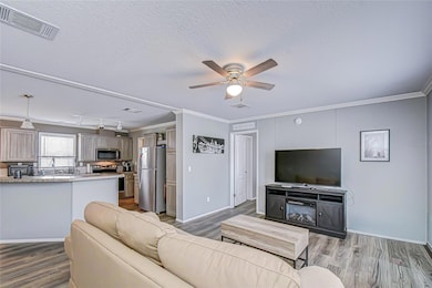 37749 Geiger Rd, Zephyrhills, FL 33542 - photo 6