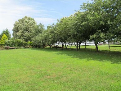 Yard/Garden. This is the row of fruit trees at the