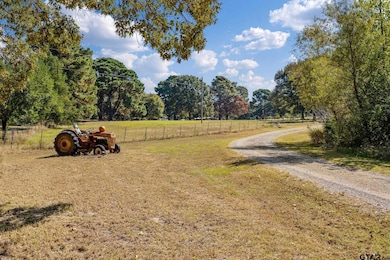 10950 Castleberry St, Brownsboro, TX 75756 - photo 2