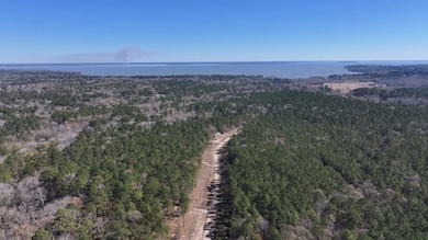 0 P unit 4 - Tbd Us 190, Point Blank, TX 77364 - photo 6