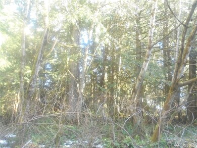 8000 Center Rd, Quilcene, WA 98376 - photo 7