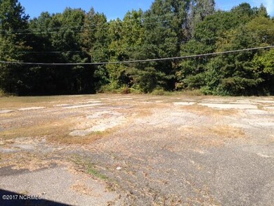 2018 US Hwy 301 S - back and lot