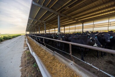 64919 Yankton Rd, Villisca, IA 50864 - photo 7